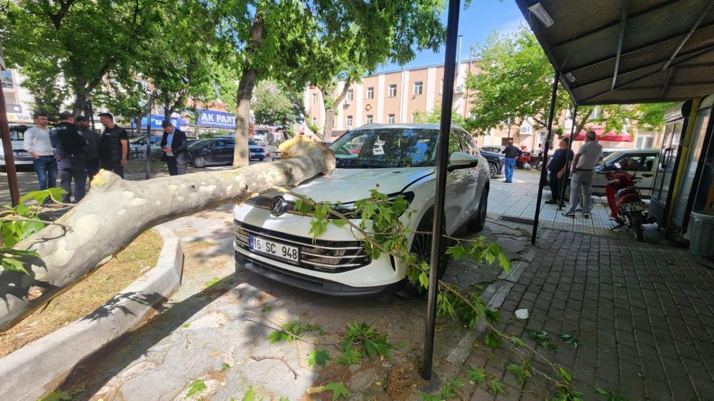 Bursa’da çınar ağacının kopan dalı lüks araçta hasara yol açtı