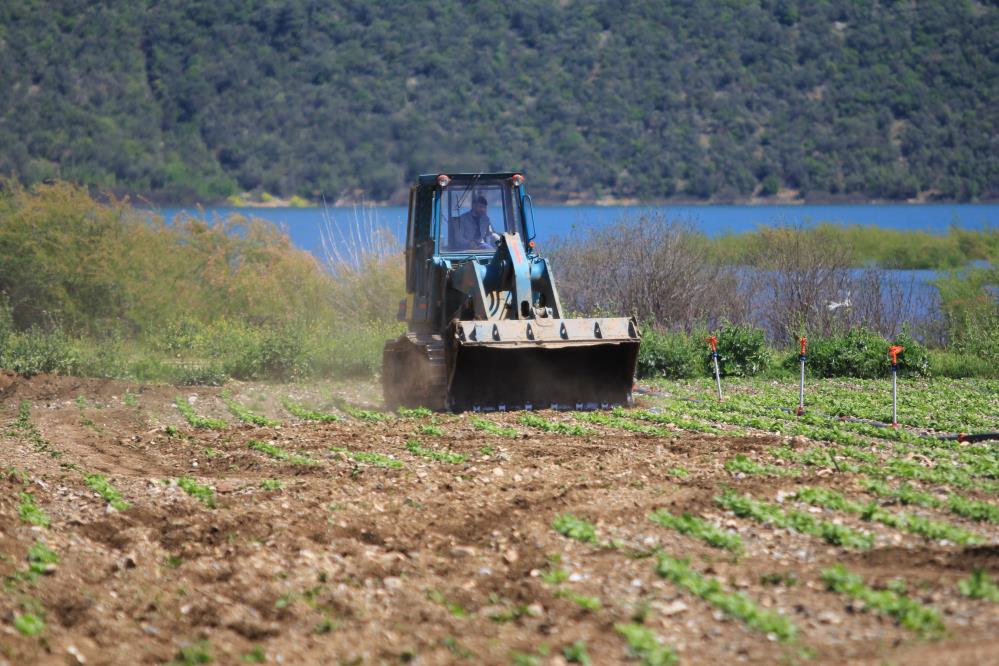 Bursa’da çiftçilere verilen süre doldu, DSİ müdahale etti