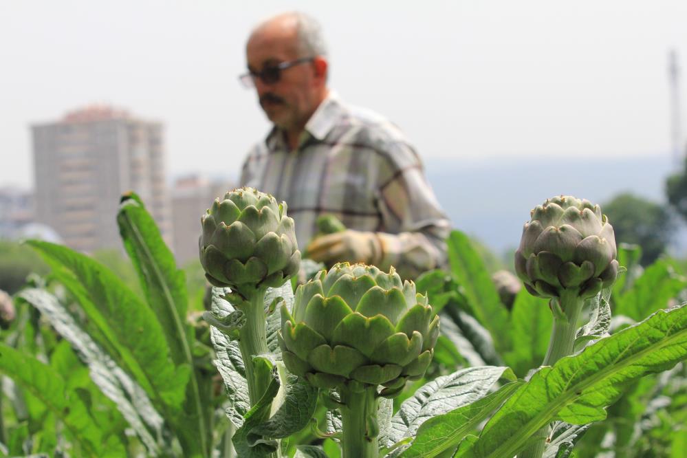 Bursa’da şubatta sıraya girenler ‘göbeği’ni alabildi