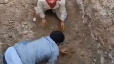Bursa’da ölen köpekleri mezardan çıkarmaya çalıştılar