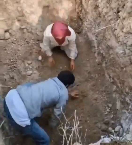 Bursa’da ölen köpekleri mezardan çıkarmaya çalıştılar