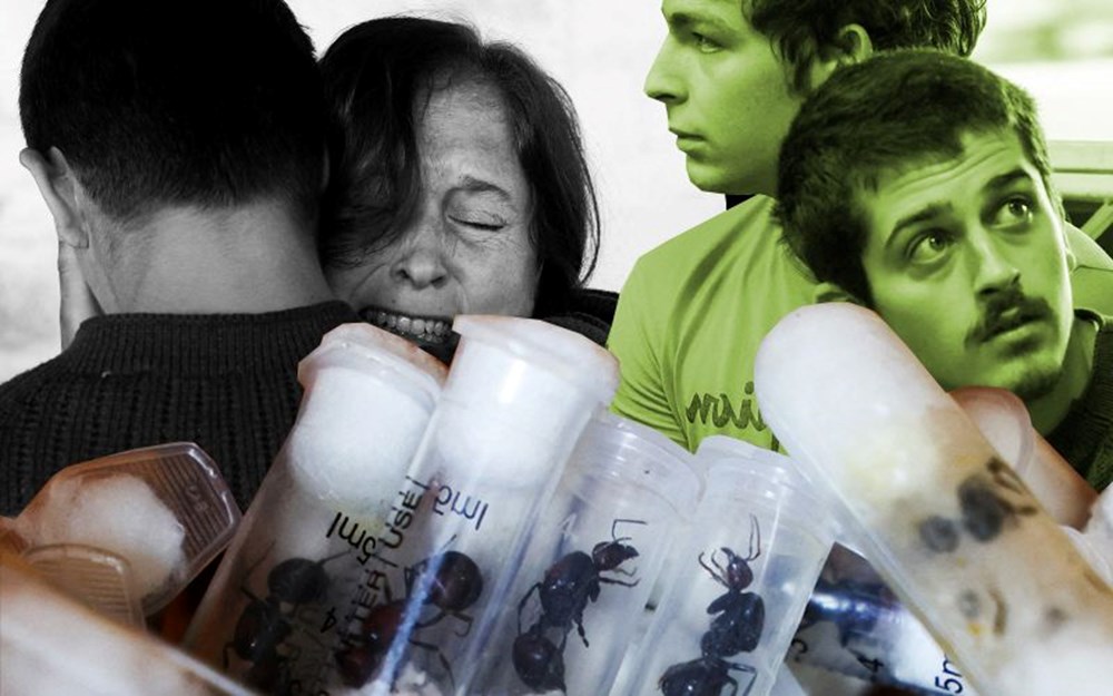 5 bin kraliçe karıncayla yakalandılar… “Biyolojik korsanlık” cezası