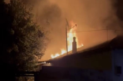 Bursa’da ahır alevlere teslim oldu
