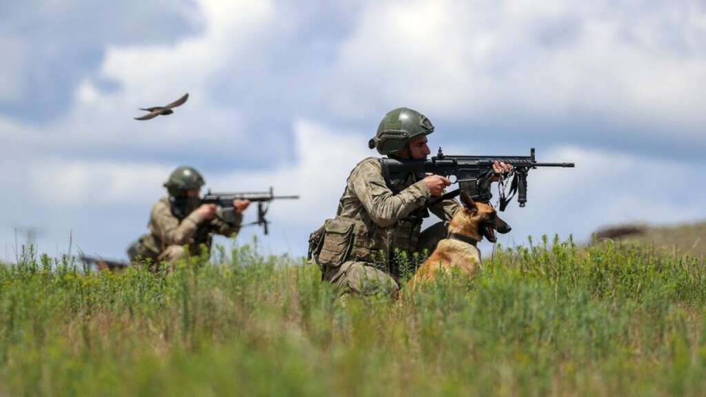 3 PKK’lı terörist teslim oldu