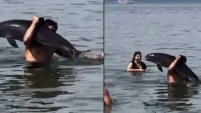Mudanya sahilinde yunuslarla unutulmaz karşılaşma