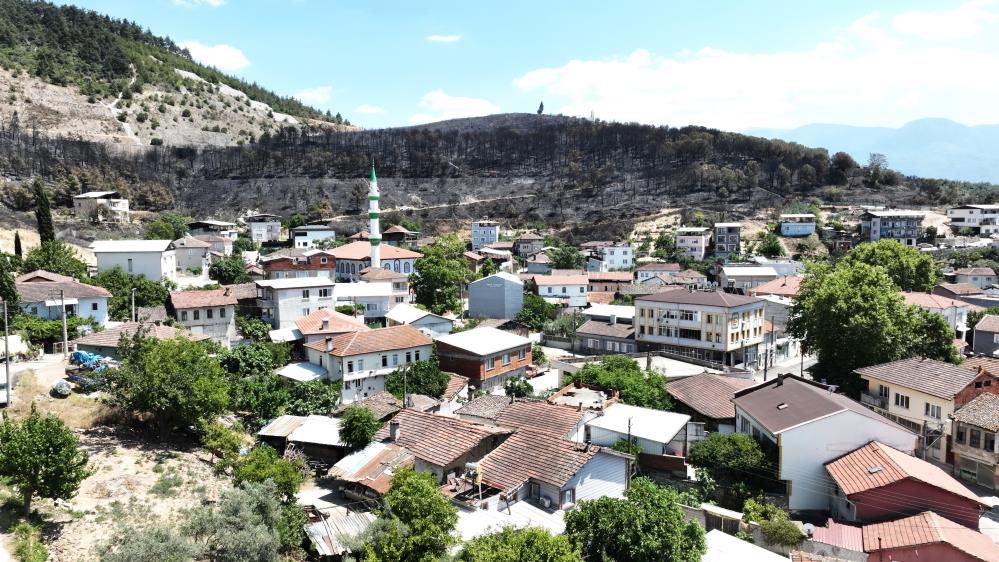 Bursa’da zümrüt yeşili orman manzaraları kömürlüğe döndü