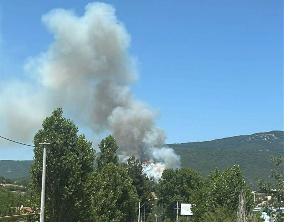 Bursa’da orman yangını: Havadan ve karadan müdahale ediliyor