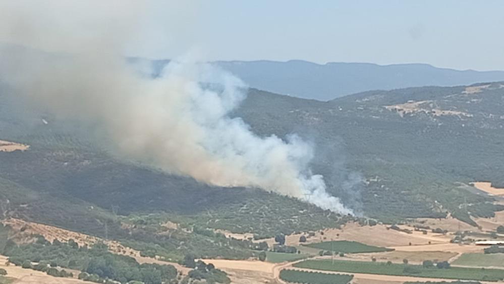 Bursa’da aynı bölge alev aldı… 2 gün önce de yanmıştı…