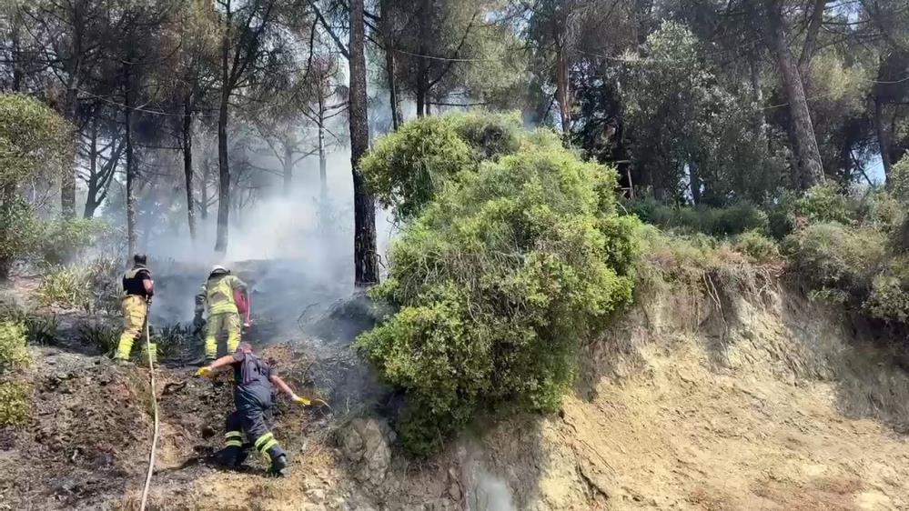 Bursa’da orman yangını