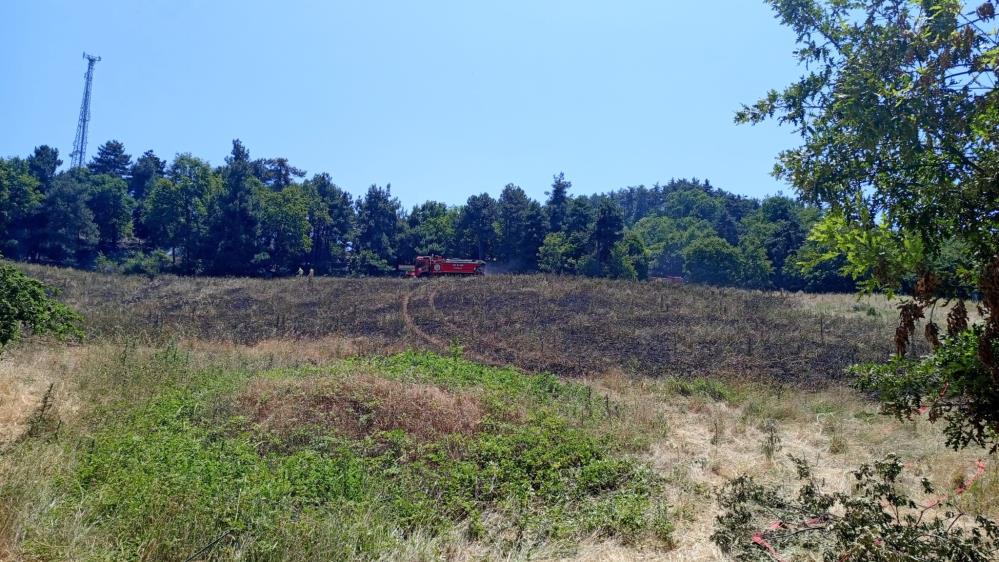 Bursa’da 25 dönüm küle döndü