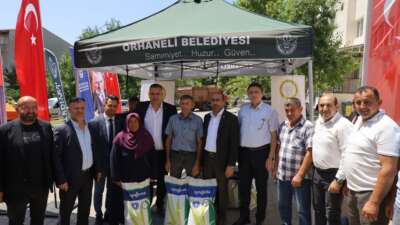 Bursa’da dağ ilçelerine silajlık mısır tohumu desteği
