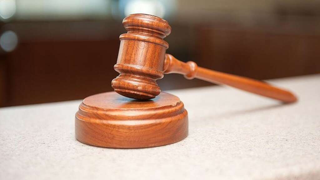 Martı, mahkeme kararıyla e-ulaşım lisansını aldı