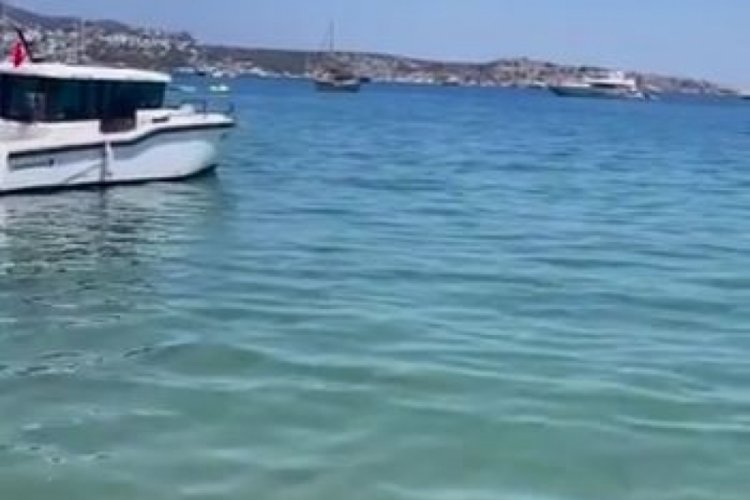 Ünlü oyuncu isyan etti! “Deniz idrar rengine dönüş!”