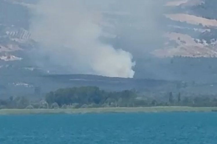 Bursa’da orman yangını