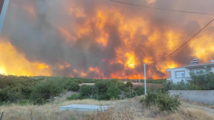 Tekirdağ’daki orman yangınında son durum!