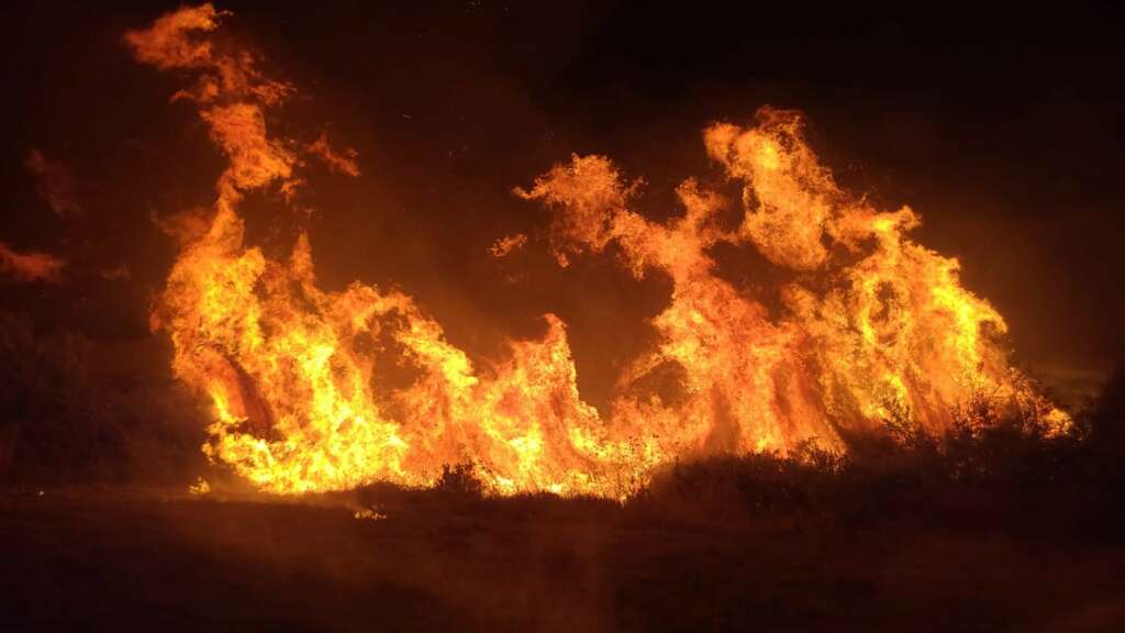 Manavgat’taki yangında 8 dönümlük tarım arazisi zarar gördü Manavgat’taki yangında 8 dönümlük tarım arazisi zarar gördü