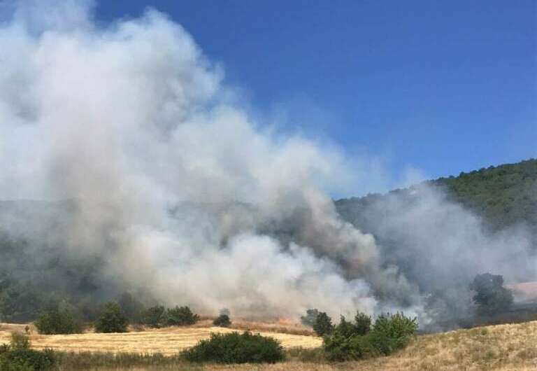 Bursa’da orman yangını