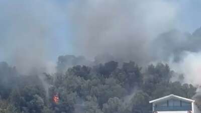 Bursa’da alevler sahile dayandı