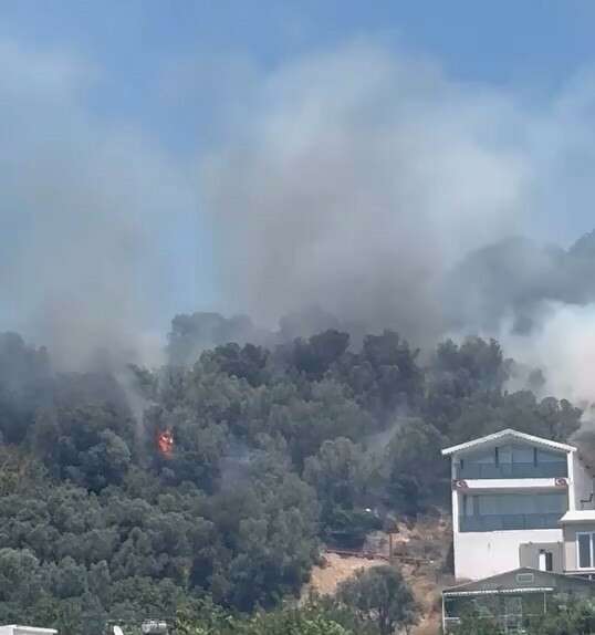 Bursa’da alevler sahile dayandı