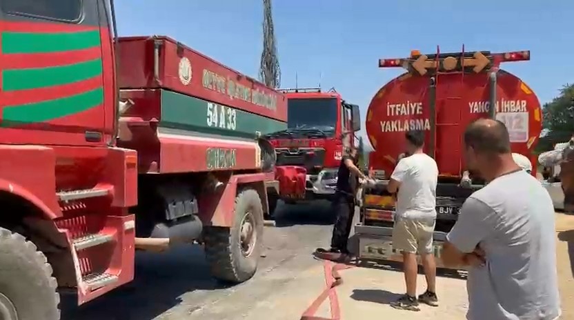 İznik’te orman yangını kontrol altına alındı İznik’te orman yangını kontrol altına alındı