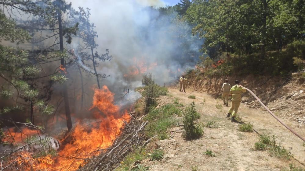 Bursa’da orman yangınına sebep olan 9 kişi gözaltına alındı, bir kişi tutuklandı