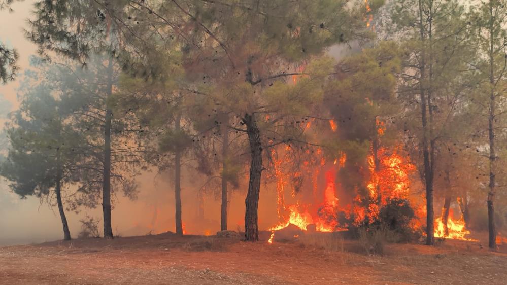 Antalya’da orman yangını