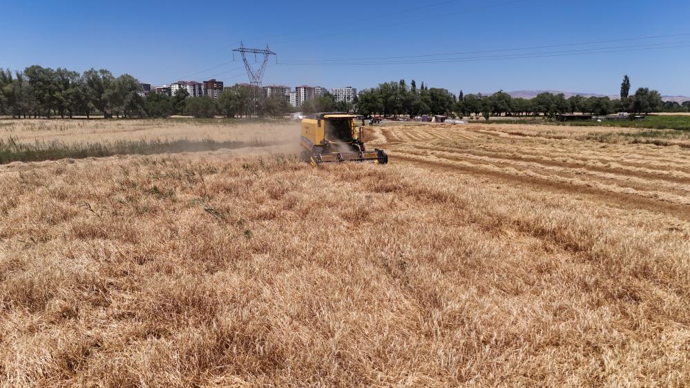 Türkiye’nin tahıl ambarında hasat başladı
