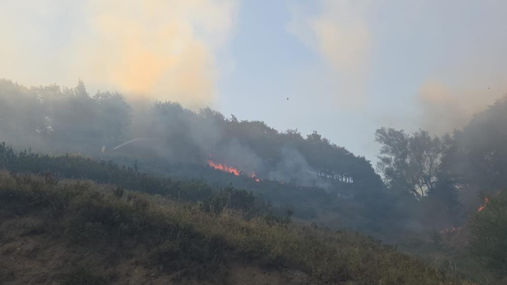 Bursa’da orman yangını