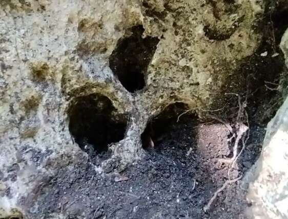 Bursa’da kaçak kazıya suçüstü