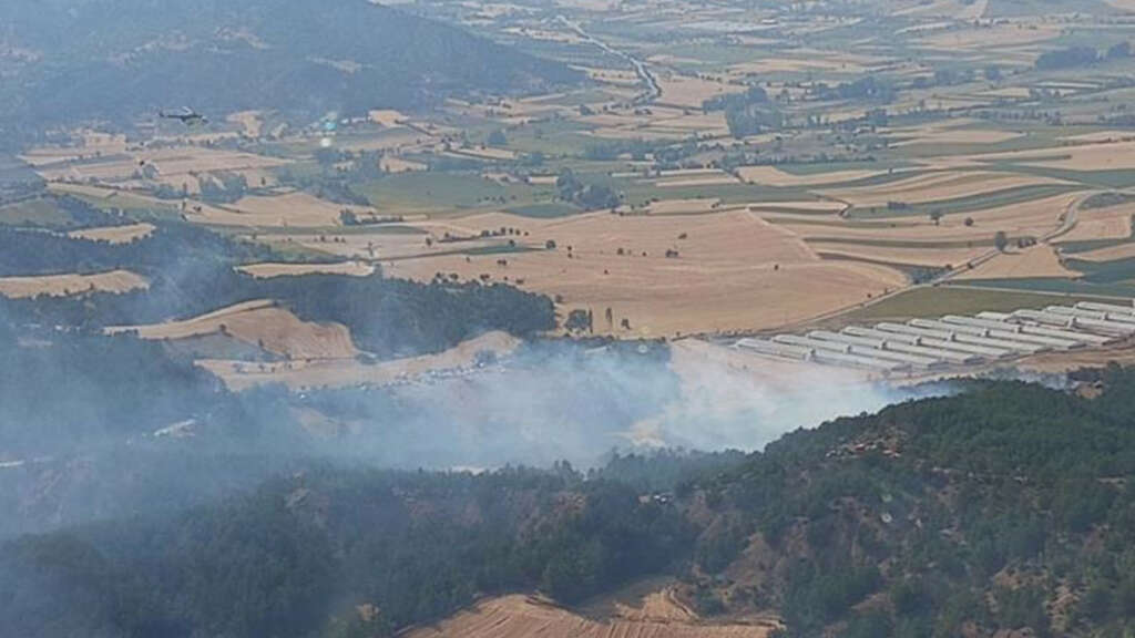 Bolu’da orman yangını! Ekiplerin müdahalesi sürüyor
