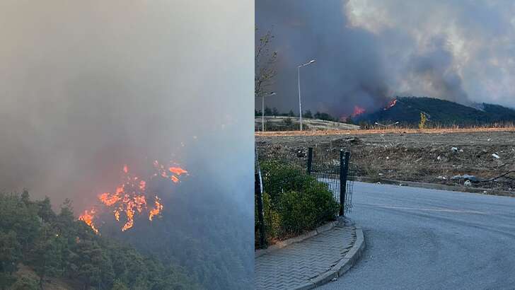 Bursa’nın ciğerleri yanıyor