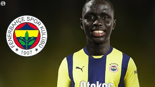 Abdou Aziz Fall, Fenerbahçe’de Abdou Aziz Fall, Fenerbahçe’de