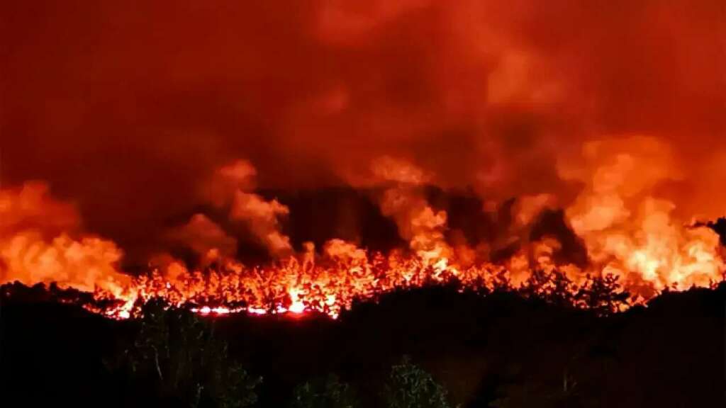 Türkiye genelindeki 65 orman yangınıyla ilgili 10 kişi tutuklandı