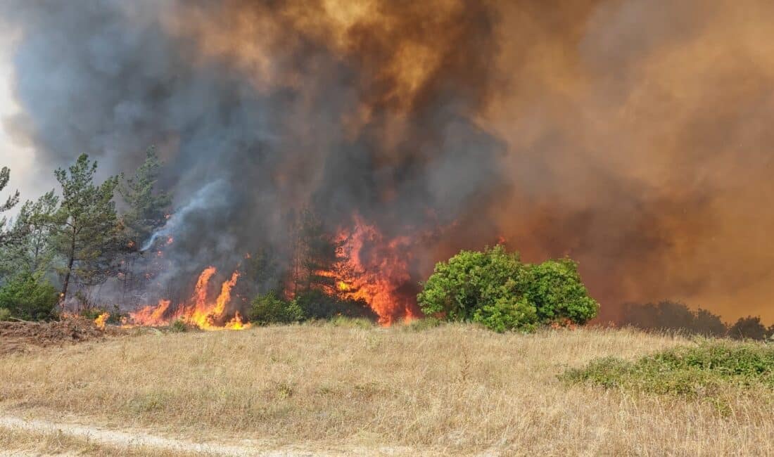 Bursa'nın Yenişehir ilçesinde çıkan orman yangını, ekiplerin havadan ve karadan