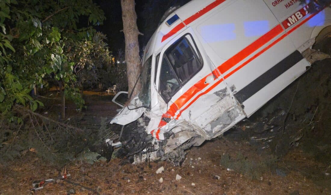 Bursa’nın Orhangazi ilçesinde kamyonetin çarptığı ambulans bahçeye uçtu. Kazada 4