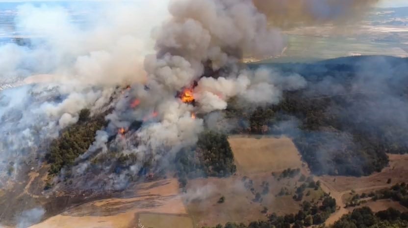 Bursa'nın Yenişehir ilçesinde ormanlık alanda çıkan yangın kontrol altına alındı.