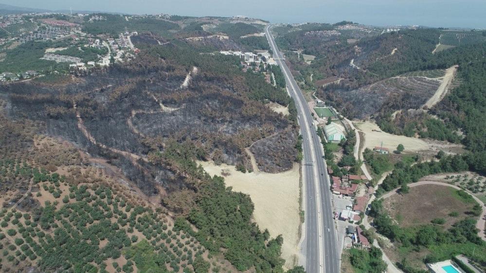 Bursa Orman Bölge Müdürlüğü, Gürsu ve Harmancık'ta yanan alanların yeşillendirilmesi