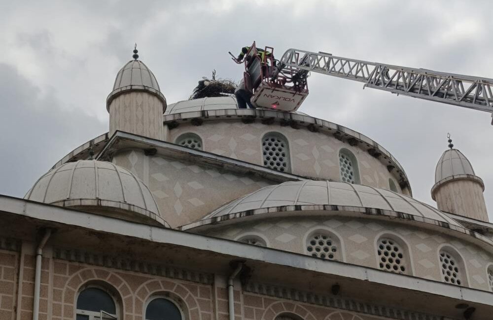 Bursa’nın İznik ilçesine bağlı Orhaniye köyünde, cami kubbesindeki yuvasında mahsur