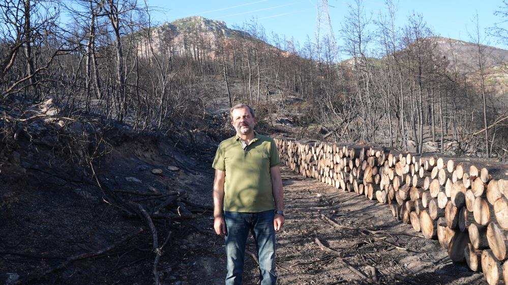 Bursa'nın Gürsu ilçesinde yaşanan orman yangınına ilişkin açıklama yapan Gürsu