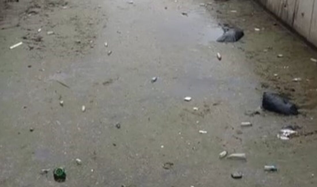 Bursa'nın Gemlik ilçesinde Karsak deresinden yağmur suyuyla birlikte denize dökülen