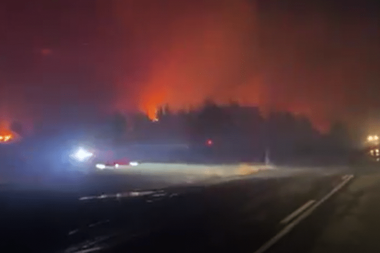 Bursa'nın Karacabey ilçesine bağlı Ekmekçi Mahallesi'nde çıkan yangın ile ilgili