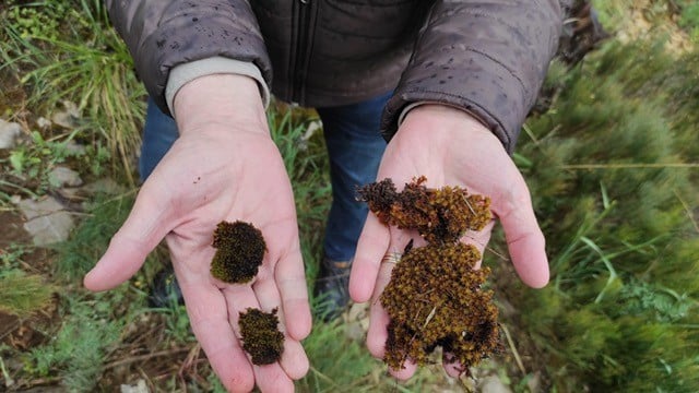  Bursa Uludağ Üniversitesi'nden Prof. Dr. Aydın Türkeç’in proje koordinatörlüğünü