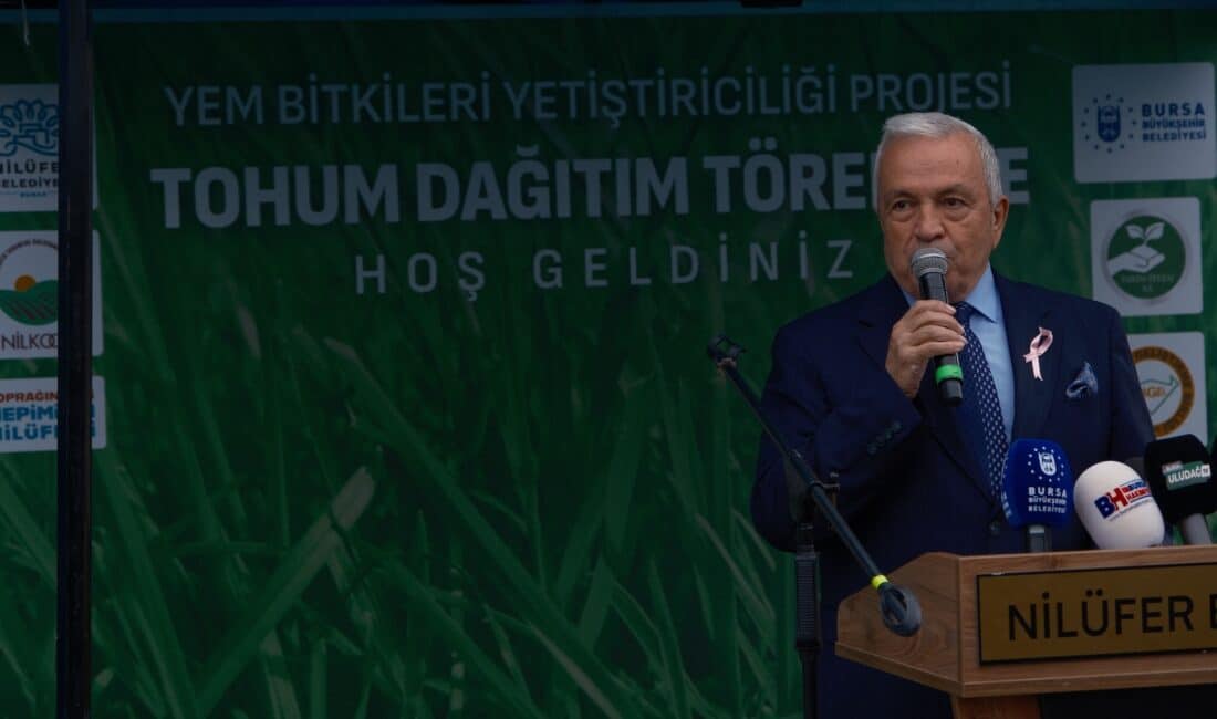 Bursa'nın Nilüfer ilçesinde hayvancılığı desteklemek amacıyla 300 çiftçiye İtalyan çimi