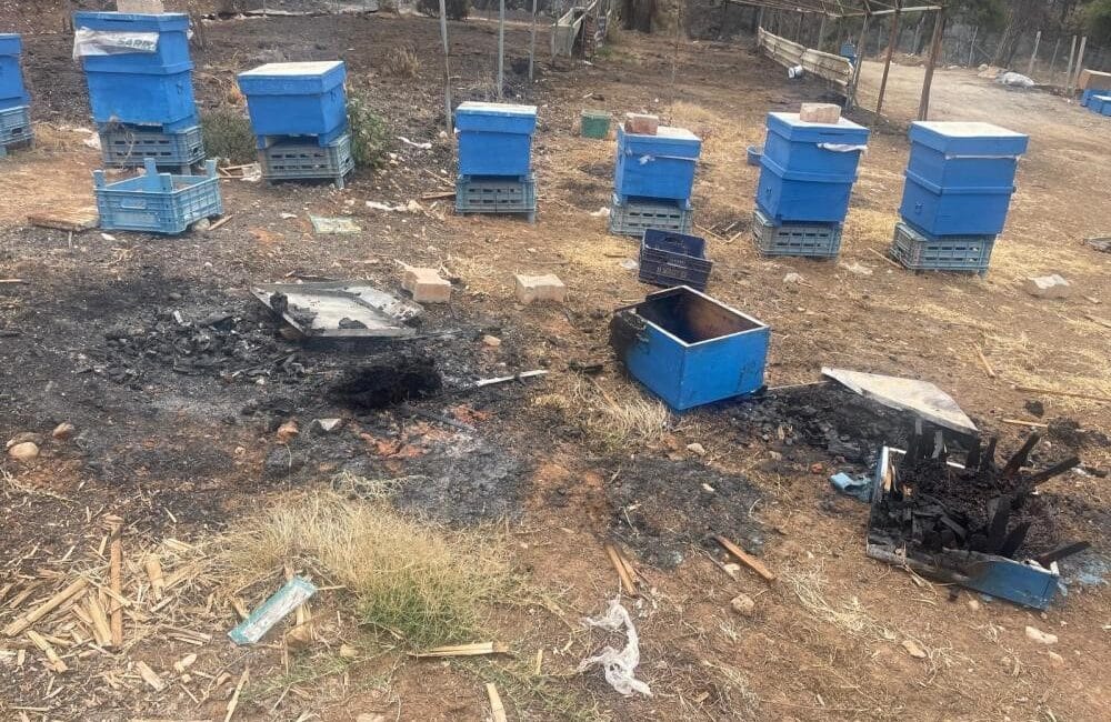  Bursa Büyükşehir Belediyesi, kentin arıcılık sektörünü desteklemek ve özellikle yangın