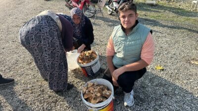 Bursa'nın Büyükorhan ilçesinde son yağışlarla kendini gösteren melki ya da