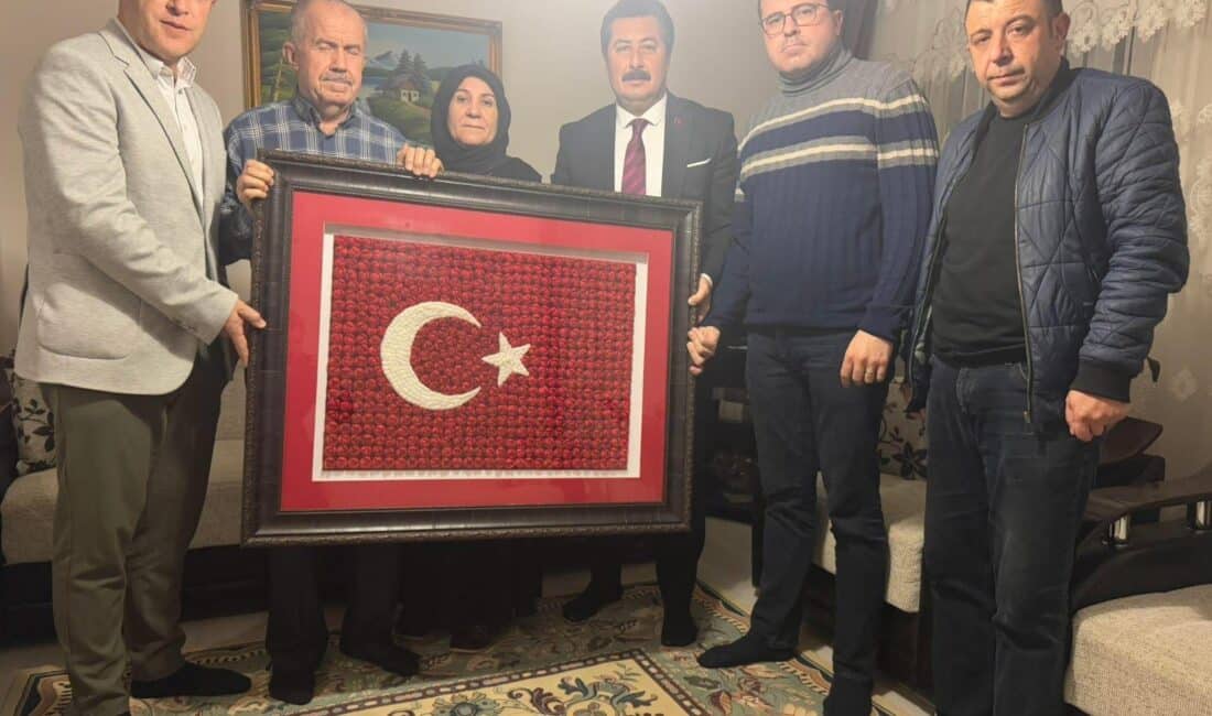 Azerbaycan'dan havalanan uçağın 11 Kasım 2025 tarihinde düşmesi sonucu şehit