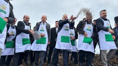 Bursa'nın Harmancık ilçesinde yaz aylarında çıkan orman yangınında zarar gören