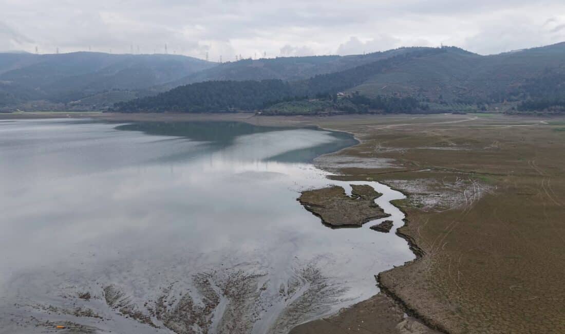 Bursa'nın şeftali, armut, siyah incir ve kiraz gibi önemli tarım ürünlerinin
