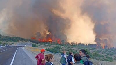 Bursa'nın Harmancık ve Orhaneli ilçelerinde geçtiğimiz yıl temmuz ayında çıkan