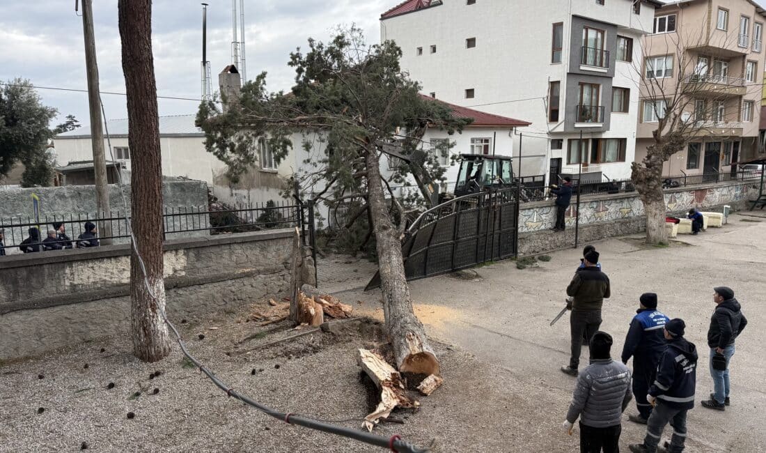 Bursa'nın İznik ilçesi Mustafakemalpaşa Mahallesi'nde etkili olan şiddetli lodos, ilkokul